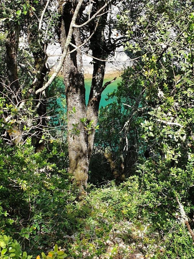 Saint Bernard Villa Fox-Amphoux Dış mekan fotoğraf